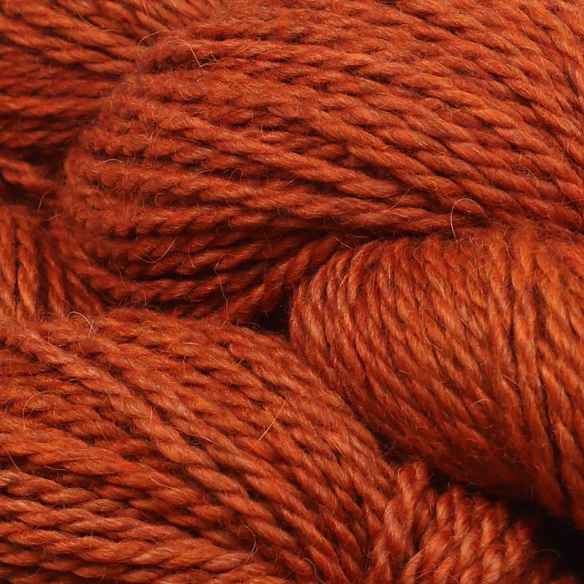Detail of The Fibre Co. Tundra Amber Burnswatch, an earthy orange