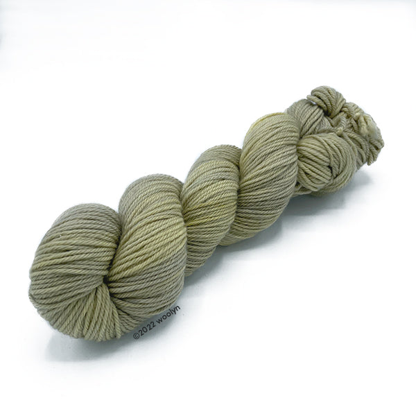 Skein of Tesserae Kissa in Celery Strings, a pale green color