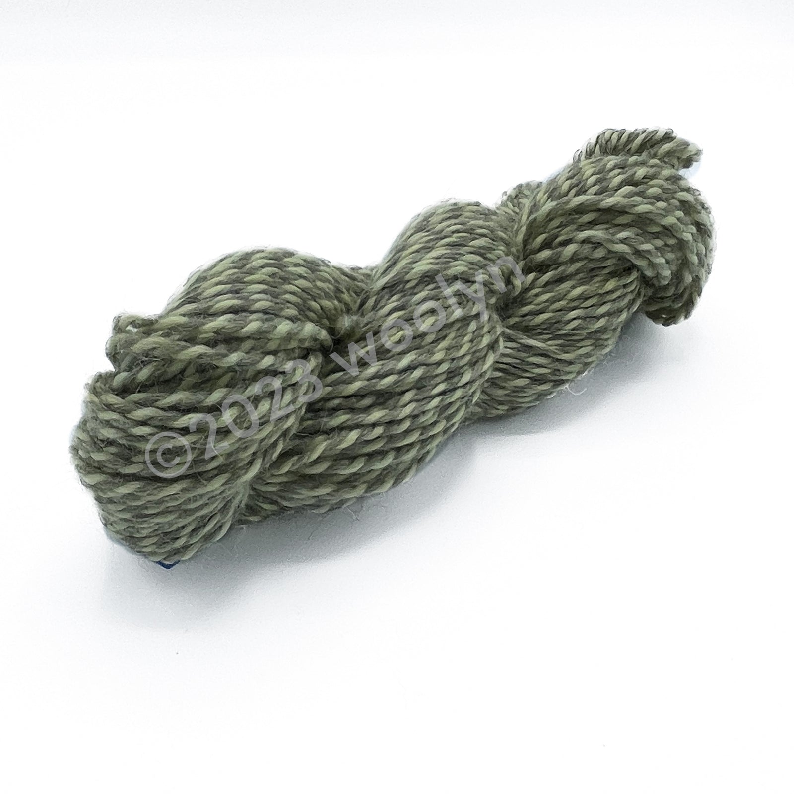 A skein of Tesserae Chonky in Celery Strings, a light green plied with a light grey