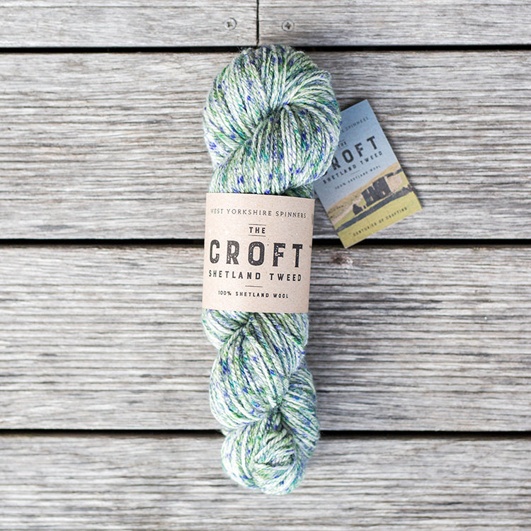 West Yorkshire Spinners the Croft Shetland Tweed in Eswick a white base yarn with blue and green speckle.