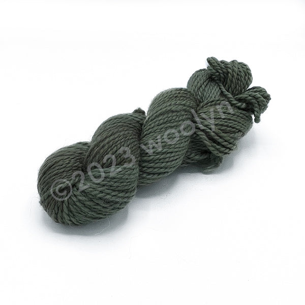 A skein of Tesserae Chonky in The Lodge, a sage green color