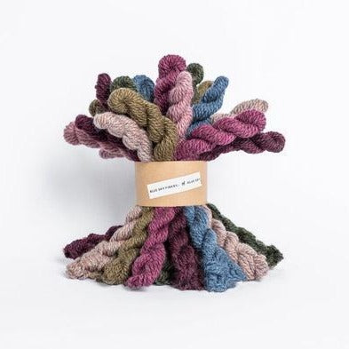 Blue Sky Woolstok Bundle Bramble + Fig, 21 mini skeins in 7 varied warm and cool colors. 
