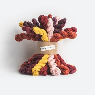 Blue Sky Woolstok Bundle Warm, 21 mini skeins in 7 colors of reds, oranges and yellow. 